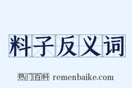 料子反义词是什么意思的图片